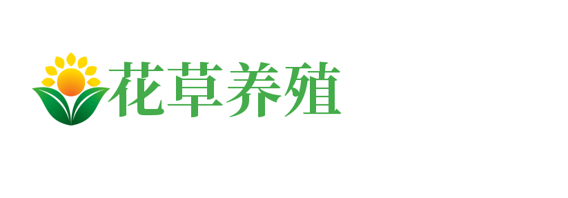打造最大四川成都桑拿,洗浴,夜生活资讯平台